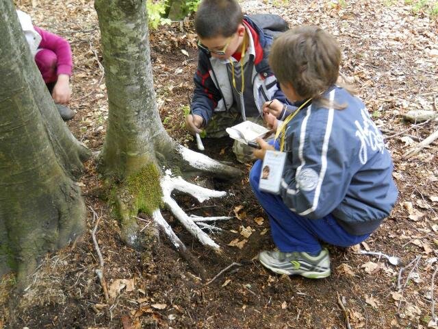 bambini nel bosco